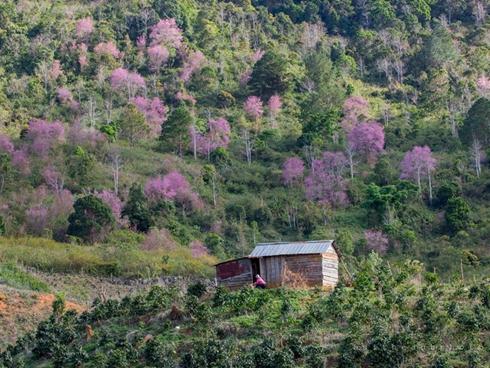 Kỷ niệm trầy da tróc vẩy ở Bali của nàng nấm lùn sexy-4