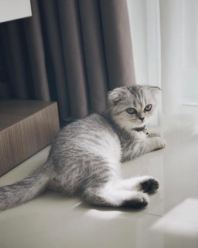 Cô gái xinh đẹp được cho là bạn gái mới của Soobin Hoàng Sơn-5