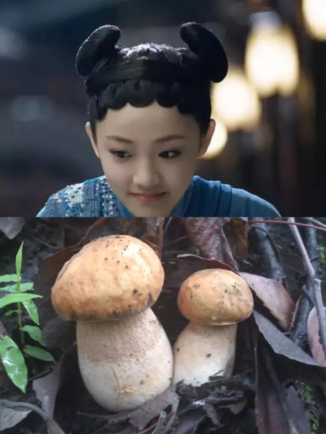 Kiều nữ Hoa ngữ mất điểm vì tóc máy khâu và bánh sừng bò-7