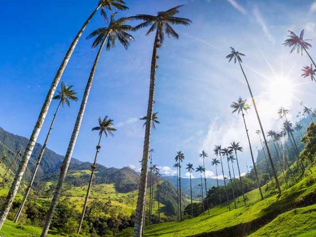 Lên lịch sẵn cho kế hoạch săn hoa khắp 12 tháng trong năm-13