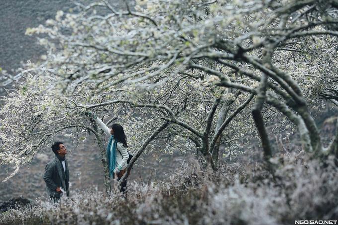 Lên lịch sẵn cho kế hoạch săn hoa khắp 12 tháng trong năm-1