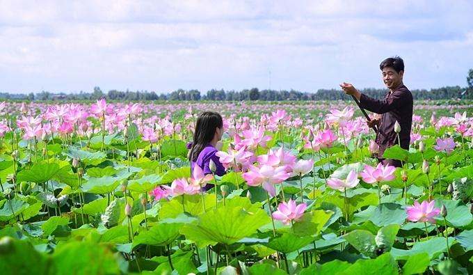 Lên lịch sẵn cho kế hoạch săn hoa khắp 12 tháng trong năm-7