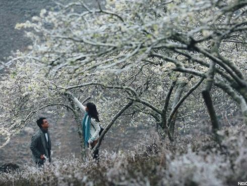 Lên lịch sẵn cho kế hoạch 'săn hoa' khắp 12 tháng trong năm