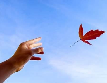 Tử vi chủ nhật ngày 21/1/2018 của 12 cung hoàng đạo-2