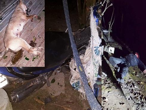 Với U23 Việt Nam lúc này, mọi giấc mơ đều có thể-4