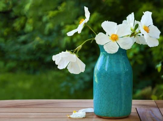 Tử vi tuần mới của 12 cung hoàng đạo từ ngày 22/1 đến 28/1/2018-5