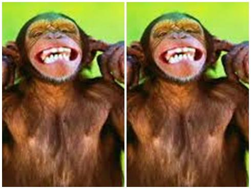 Cô gái bị gấu biến thành trò cười trong siêu thị-1