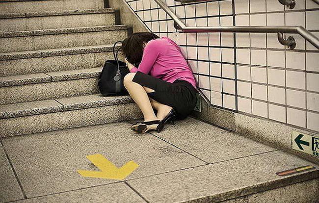 Ủ uôi, gấu của thím nào thì vào hốt đi kìa!-2