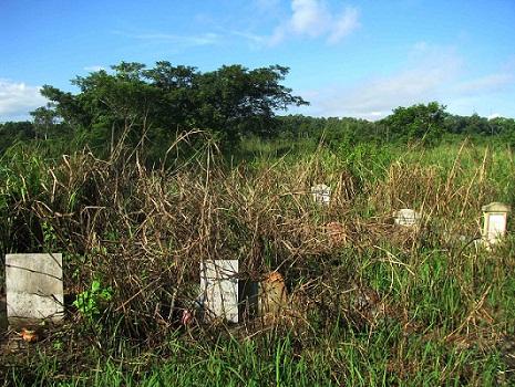 Phước tám ngón: Câu chuyện khởi đầu tội lỗi-2