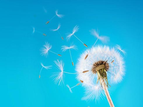 Tử vi thứ 2 ngày 22/1/2018 của 12 cung hoàng đạo