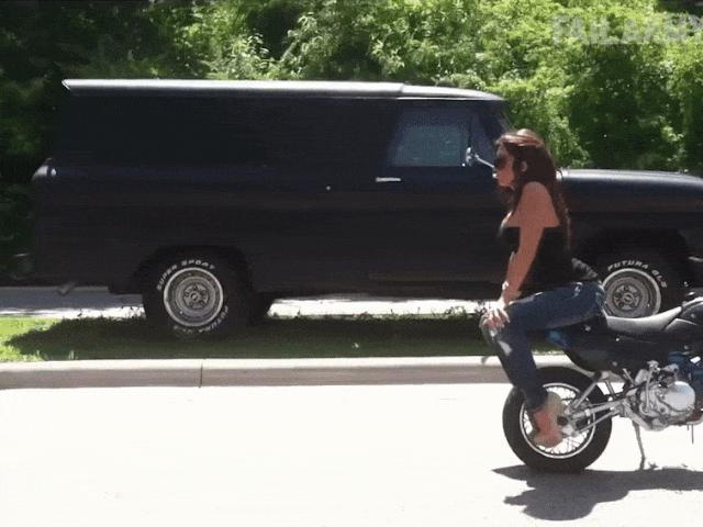 Dân tình náo loạn khi cá sấu chó xuất hiện trên phố-1