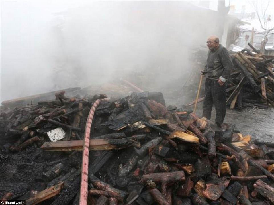 Clip: Cụ ông 83 tuổi rơi nước mắt khi đoàn tụ với mèo cưng sau đám cháy thiêu rụi căn nhà-1