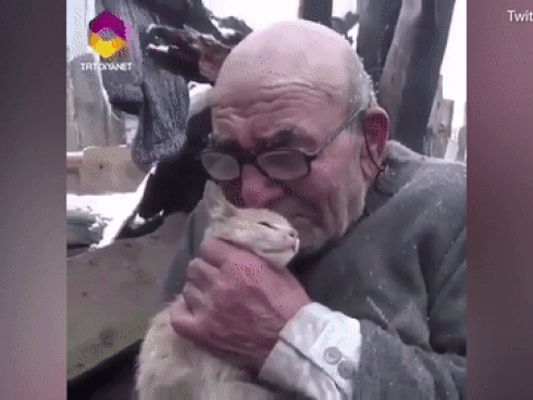 Clip: Cụ ông 83 tuổi rơi nước mắt khi đoàn tụ với mèo cưng sau đám cháy thiêu rụi căn nhà