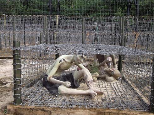 Côn Đảo: Từ 'địa ngục trần gian' đến thiên đường du lịch