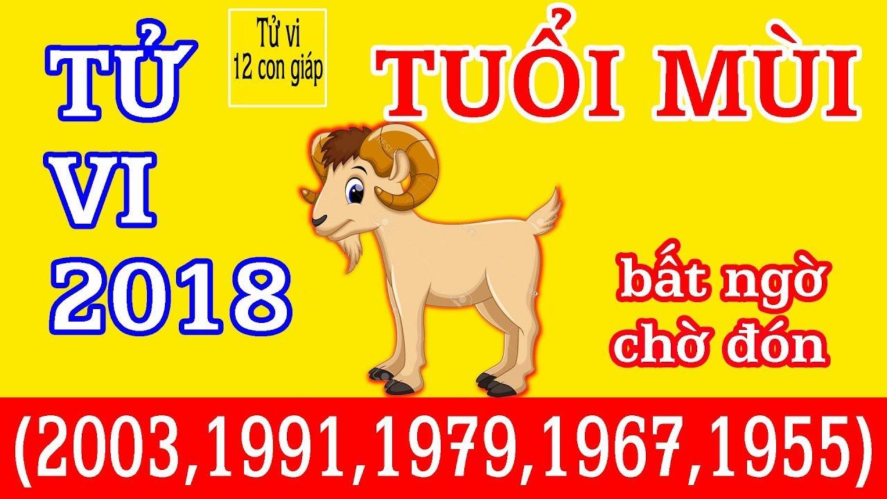Tử vi tuổi Mùi năm 2018: Cẩn thận chịu tác động lớn của hung tinh-1