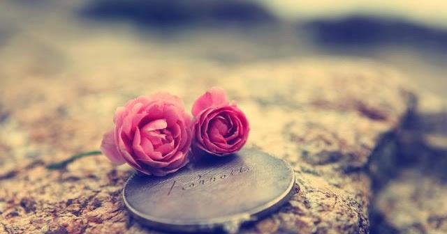 Tử vi thứ Tư ngày 24/1/2018 của 12 cung hoàng đạo-3