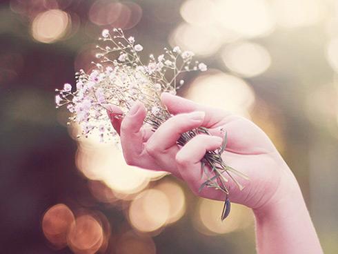 Tử vi chủ nhật ngày 31/12/2017 của 12 cung hoàng đạo-5