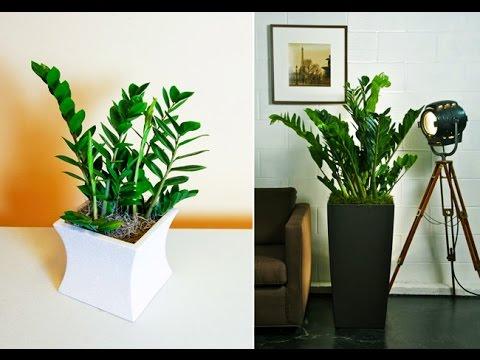 Trong 12 con giáp, ai sẽ là TỶ PHÚ, TIỀN ĐÈ CHẾT NGƯỜI trong nửa đầu năm 2018?-2