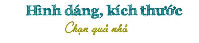 Cách chọn cam Canh ngon, ngọt trăm quả như một-2