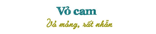 Cách chọn cam Canh ngon, ngọt trăm quả như một-4