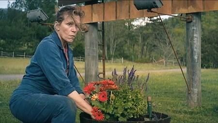 Công bố danh sách đề cử Oscar 2018: Có gì bất ngờ?-3