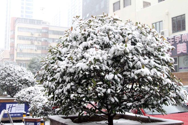 Ngắm tuyết rơi tuyệt đẹp ở Thường Châu trước trận chung kết U23 Việt Nam - U23 Uzbekistan-4