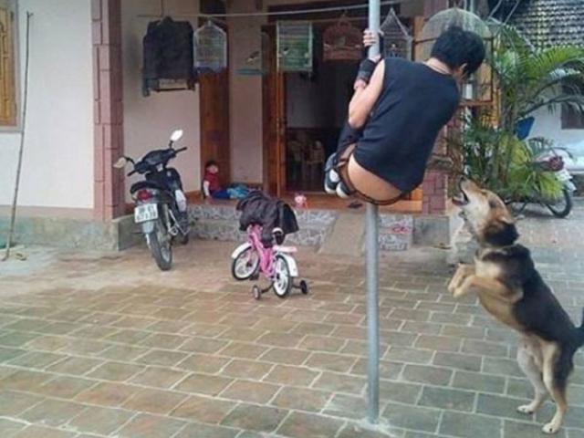 Tuyển chồng không sợ chó-1