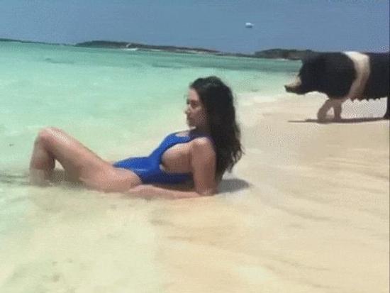 Ủ uôi, đúng là 'sướng như heo'!