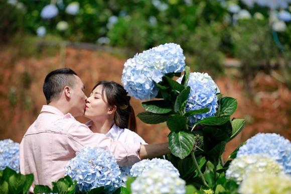 BTV Nguyễn Hoàng Linh ngọt ngào hôn chồng sắp cưới ở vườn hoa cẩm tú cầu-1