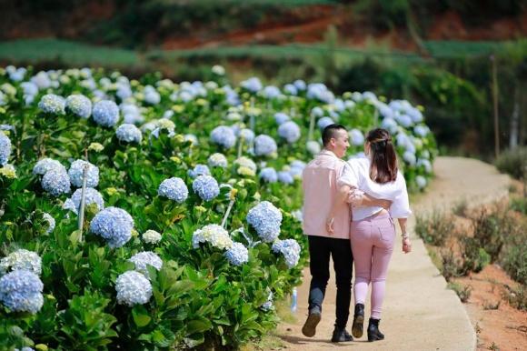 BTV Nguyễn Hoàng Linh ngọt ngào hôn chồng sắp cưới ở vườn hoa cẩm tú cầu-4