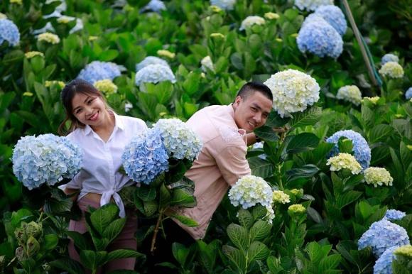 BTV Nguyễn Hoàng Linh ngọt ngào hôn chồng sắp cưới ở vườn hoa cẩm tú cầu-7