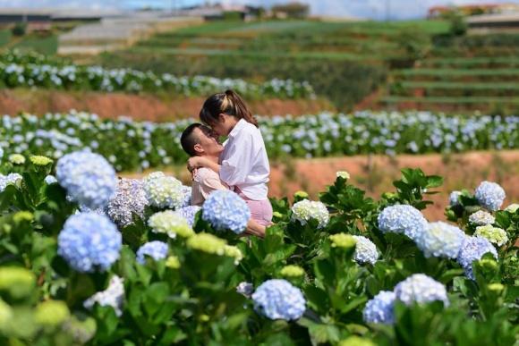 BTV Nguyễn Hoàng Linh ngọt ngào hôn chồng sắp cưới ở vườn hoa cẩm tú cầu-10