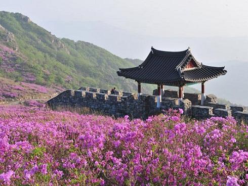 Tất tần tật những điểm ăn chơi thú vị tại quê hương HLV Park Hang-seo