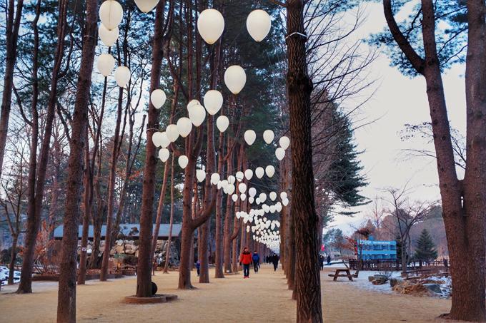 Hàn Quốc mùa đông đẹp quyến rũ chẳng kém mùa thu lá vàng-3