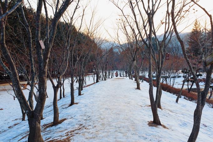 Hàn Quốc mùa đông đẹp quyến rũ chẳng kém mùa thu lá vàng-4