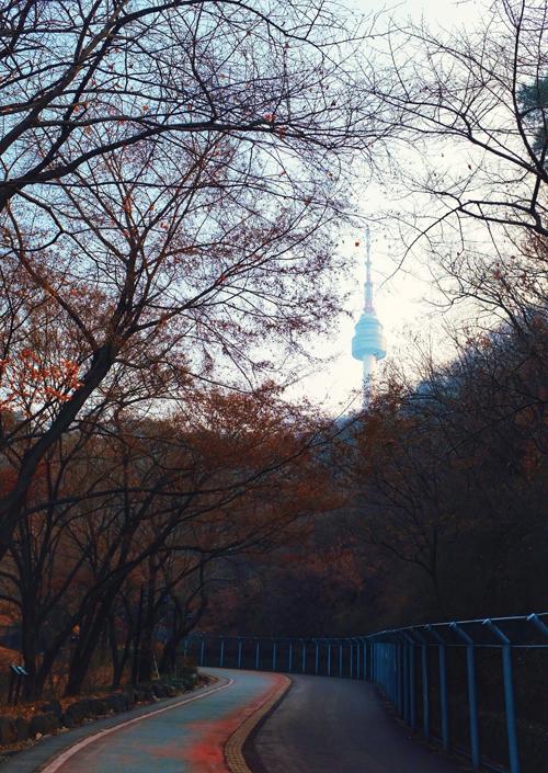 Hàn Quốc mùa đông đẹp quyến rũ chẳng kém mùa thu lá vàng-5