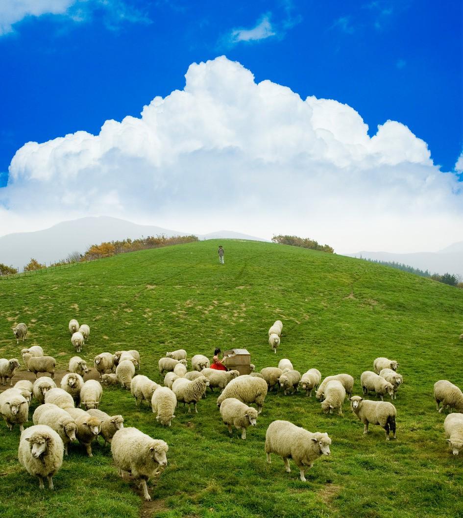 Đến Hàn Quốc, nhớ ghé trại cừu đẹp như phim mà Xuân Trường đã hẹn hò cùng bạn gái tin đồn-6