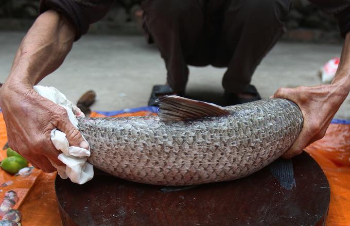 Ngày giáp Tết nhộn nhịp ở làng cá kho Vũ Đại-2