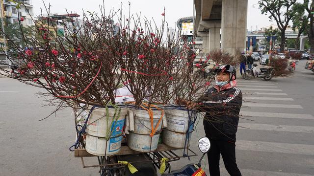Người Hà Nội xuống phố mua đào về chơi Tết sớm-1