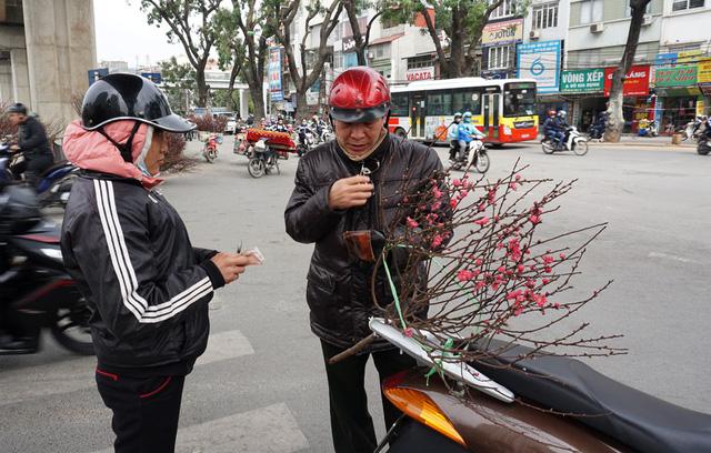 Người Hà Nội xuống phố mua đào về chơi Tết sớm-2