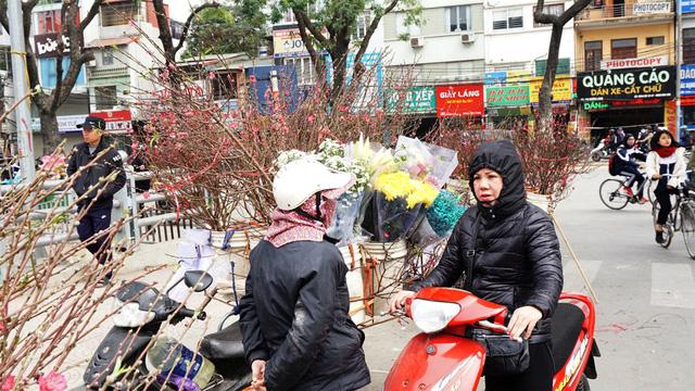 Người Hà Nội xuống phố mua đào về chơi Tết sớm-3