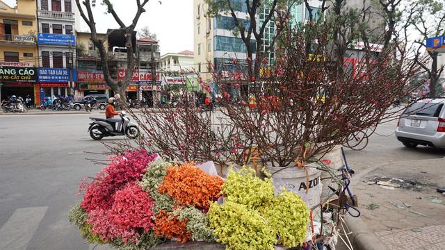 Người Hà Nội xuống phố mua đào về chơi Tết sớm-4