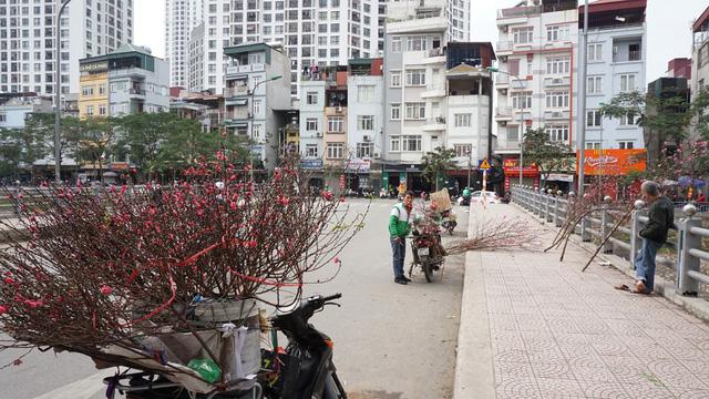 Người Hà Nội xuống phố mua đào về chơi Tết sớm-7