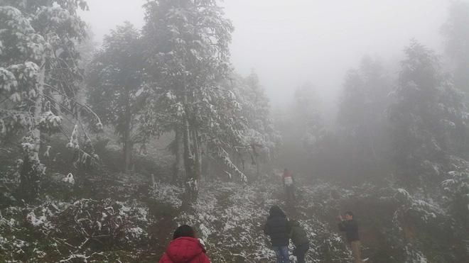 Cô dâu dũng cảm nhất năm: Mặc váy hở vai chụp ảnh cưới giữa băng tuyết Sapa-2