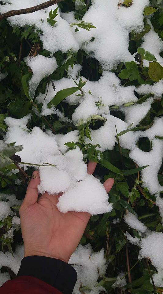 Cô dâu dũng cảm nhất năm: Mặc váy hở vai chụp ảnh cưới giữa băng tuyết Sapa-3