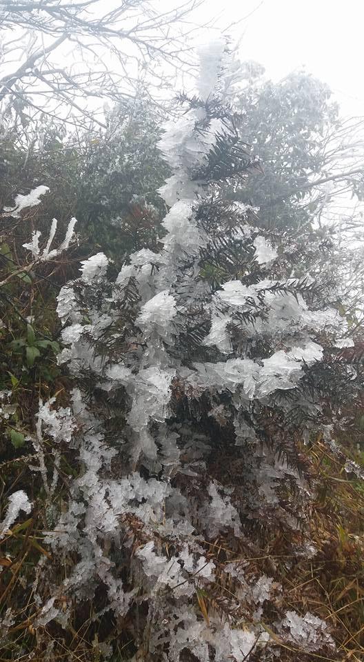 Cô dâu dũng cảm nhất năm: Mặc váy hở vai chụp ảnh cưới giữa băng tuyết Sapa-5