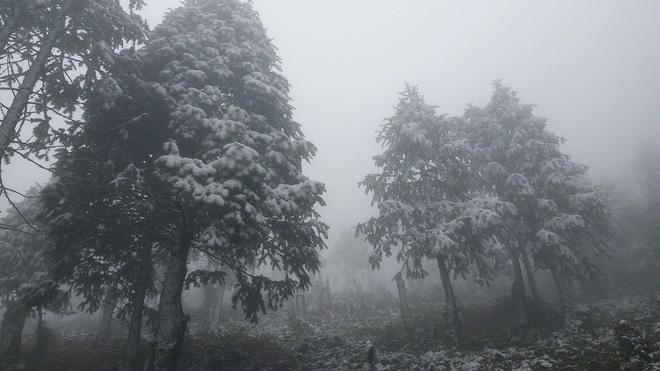 Cô dâu dũng cảm nhất năm: Mặc váy hở vai chụp ảnh cưới giữa băng tuyết Sapa-6