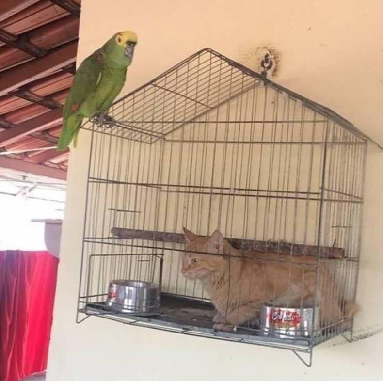 14 khoảnh khắc hiểu được chết liền trong cuộc sống như đang bắt lú bạn-3