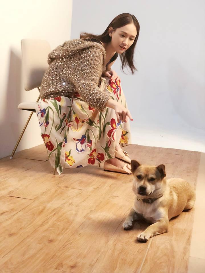 Trần Kiều Ân tái xuất showbiz sau 29 ngày lặn mất tăm vì scandal lái xe say xỉn-1