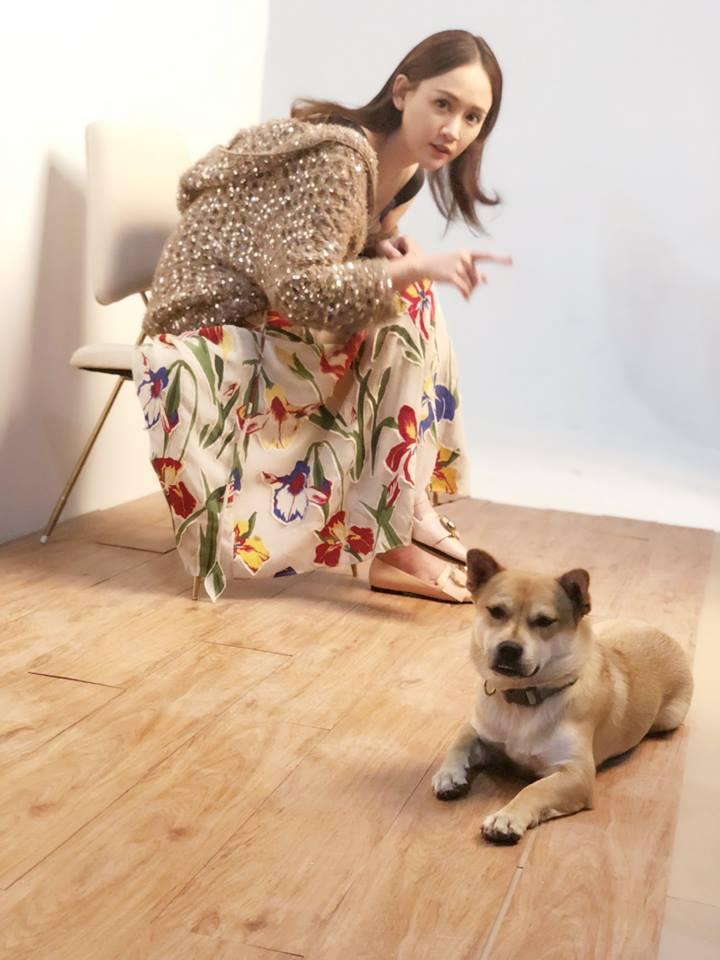 Trần Kiều Ân tái xuất showbiz sau 29 ngày lặn mất tăm vì scandal lái xe say xỉn-2